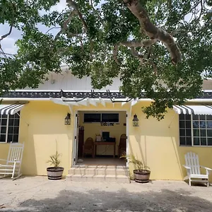  Bed & Breakfast And Bar Jamaica